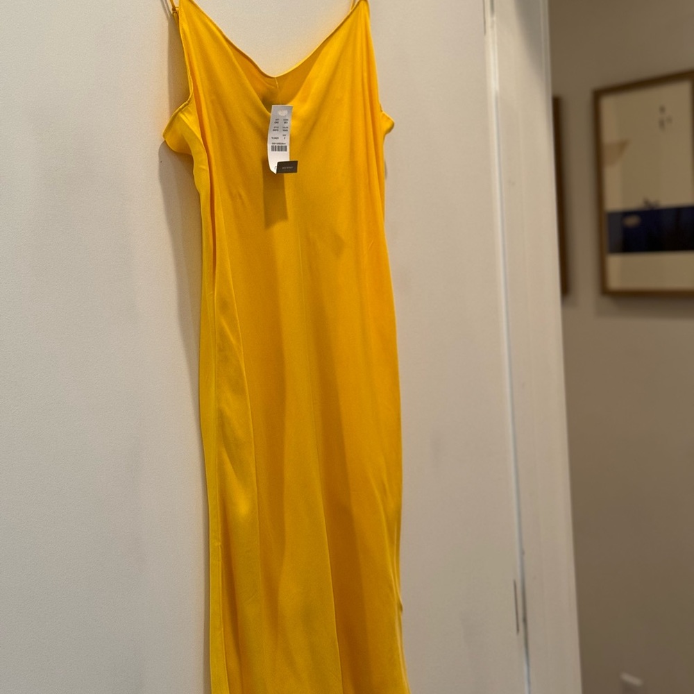 Mini brand new never worn silk slip dress